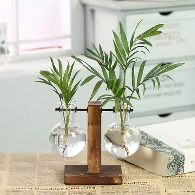 Transparent Plant Vases